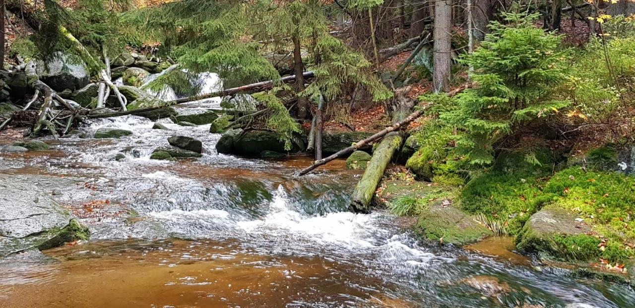 Apartament Gorski Widok Szklarska Poręba Esterno foto