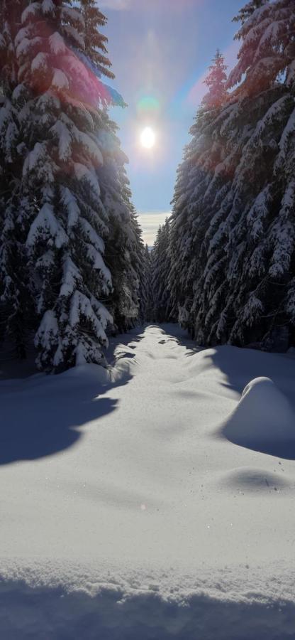 Apartament Gorski Widok Szklarska Poręba Esterno foto