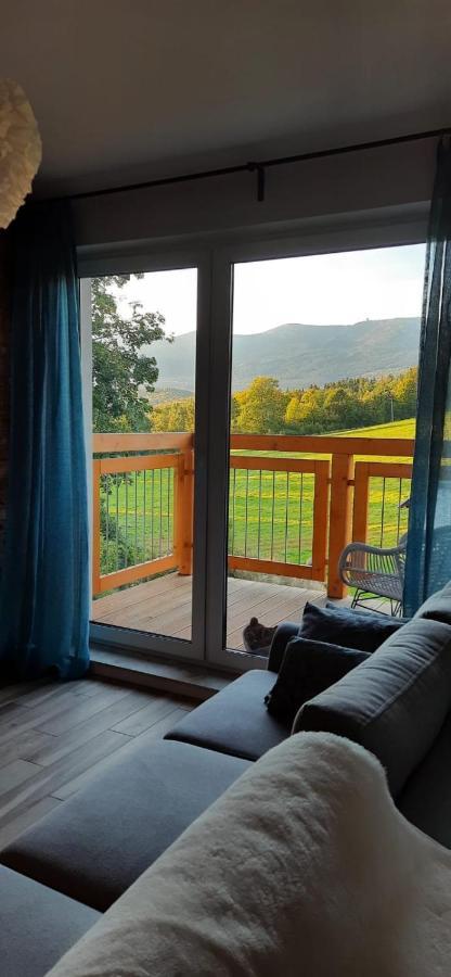 Apartament Gorski Widok Szklarska Poręba Esterno foto